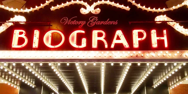 Chicago Night Crimes Bus Tour - Image 2