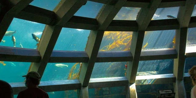 Seattle Aquarium Entry & Digital City Tour - Image 6
