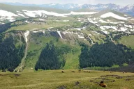 Denver Rocky Mountain National Park Tour with Picnic Lunch thumbnail 3
