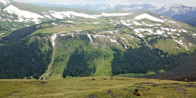 Denver Rocky Mountain National Park Tour with Picnic Lunch - Image 3