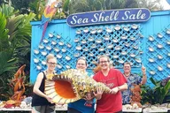 Maui Road to Hana Tour thumbnail 1