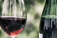 San Francisco Napa Valley Winery Tour thumbnail 2