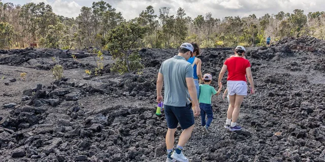 Hilo Volcanoes and Waterfalls Private Tour - Image 5