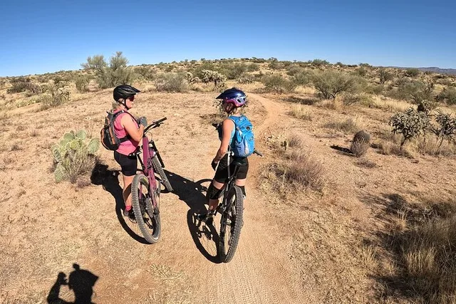 Tucson Mountain Bike Rental - Image 4