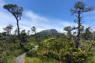 Sitka Hiking Tour thumbnail 4