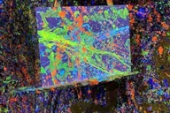 Reno Splatter Paint Room Experience thumbnail 4
