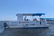Pensacola Dolphin Cruise and Bay Tour 2 hr thumbnail 2