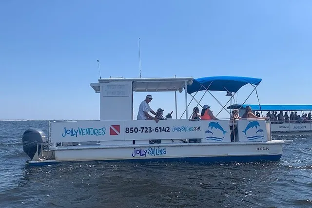 Pensacola Dolphin Cruise and Bay Tour 2 hr - Image 2