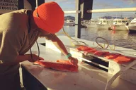 Ketchikan Salmon Charter 4 hr thumbnail 6