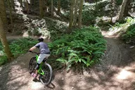 Seattle Mountain Bike Tour in Cascade Foothills thumbnail 3