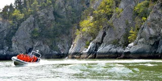 Skagway Ocean Raft Adventure