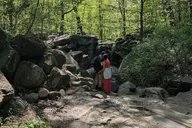 New York City Central Park Guided Hike thumbnail 3