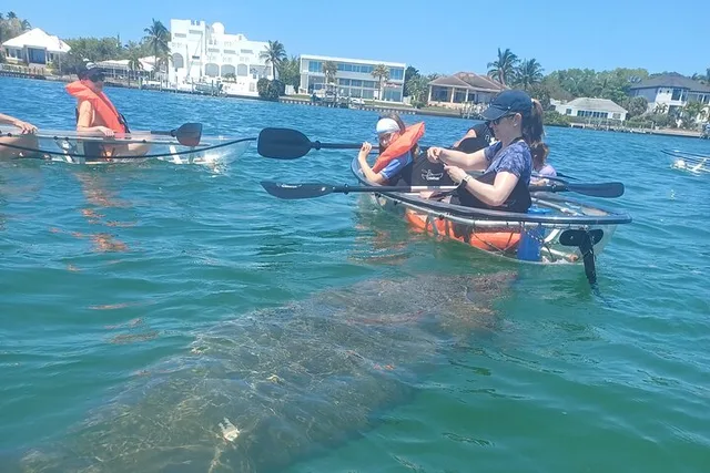 Anna Maria Island Clear Kayak Tour - Image 2