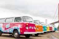 San Francisco City Tour by Vintage VW Bus thumbnail 5