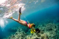 Kona Coast Snorkel Tour with Lunch thumbnail 5
