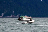 Glacier Point Wilderness Safari thumbnail 5