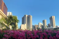 Honolulu Scavenger Hunt and Audio Tour thumbnail 1