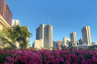 Honolulu Scavenger Hunt and Audio Tour