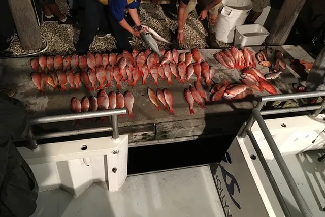 Fort Lauderdale Fishing Trip - Image 4