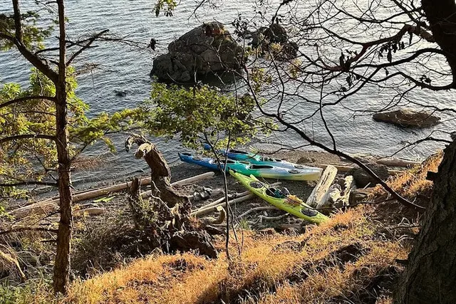 Orcas Island Coastal Kayak Tour - Image 3