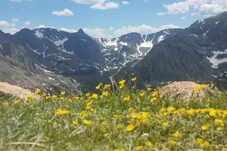 Denver Rocky Mountain National Park Tour