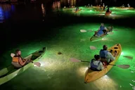 Clearwater Glass Bottom Fish Feeding Night Tour thumbnail 1