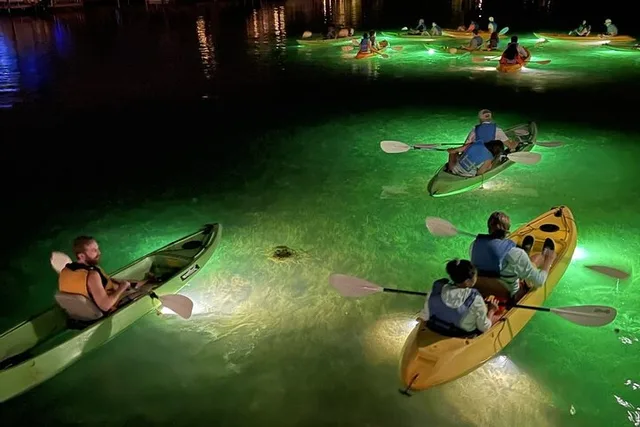 Clearwater Glass Bottom Fish Feeding Night Tour - Image 1