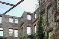 Raleigh True Crime Walking Tour 1 hr thumbnail 5