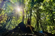 Waterfall Hike and Scenic Tour in Japan 4.5 hr thumbnail 6