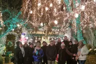 Brooklyn Christmas Lights Tour from Manhattan 4 hr thumbnail 3