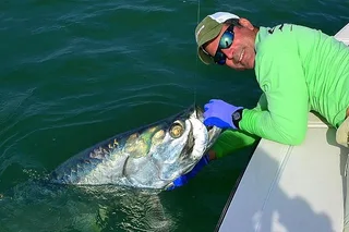 Miami Inshore Flats Fishing Tour 4 hr