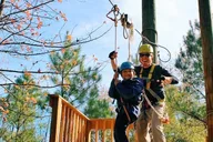 Hot Springs Zipline Tour thumbnail 1