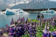Seward Helicopter Tour of Bear Glacier thumbnail 2