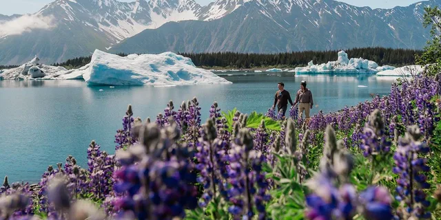 Seward Helicopter Tour of Bear Glacier - Image 2