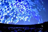 Tampa Ocean Sounds Immersive Experience 1 hr thumbnail 4