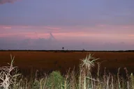 Everglades Safari-Style Jeep Tour thumbnail 6