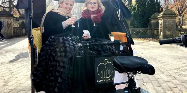 New York City Central Park Pedicab Tour - Image 3