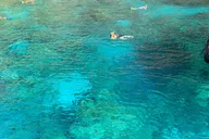 Kona Coast Private Charter Adventure thumbnail 5