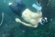 Los Angeles Snorkeling Tour thumbnail 4