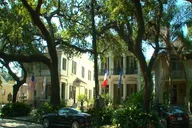 New Orleans City and Cemetery Bus Tour 2 hr thumbnail 4