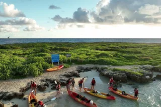 Kailua Bay Kayak Tour to Popoia Island