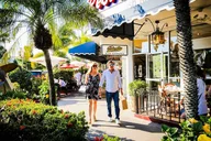 Sarasota Trolley Tour thumbnail 6