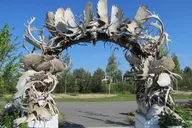 Fairbanks City Highlights Tour thumbnail 5