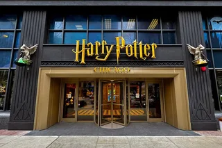 Chicago Harry Potter Shop Experience