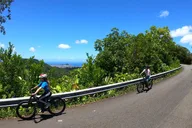 Honolulu eBike Rainforest Tour 3 hr thumbnail 4