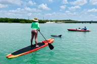 Fort Myers Dolphin and Manatee Adventure Tour 2 hr thumbnail 5