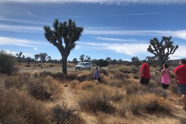 Joshua Tree National Park Driving Tour - Image 1