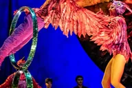 Oaks Cirque du Soleil LUZIA Entry Ticket thumbnail 3