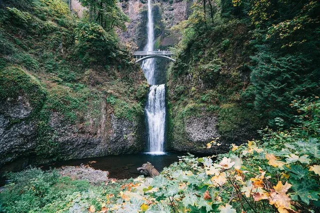 Portland Mt Hood Day Trip to Multnomah Falls - Image 3