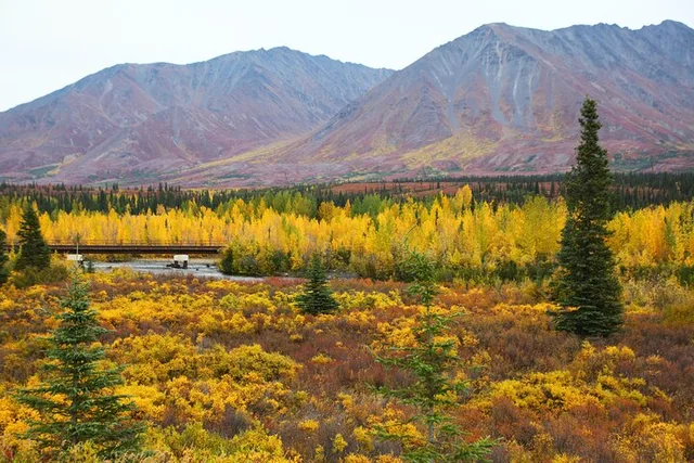 Denali National Park to Fairbanks Transport - Image 4